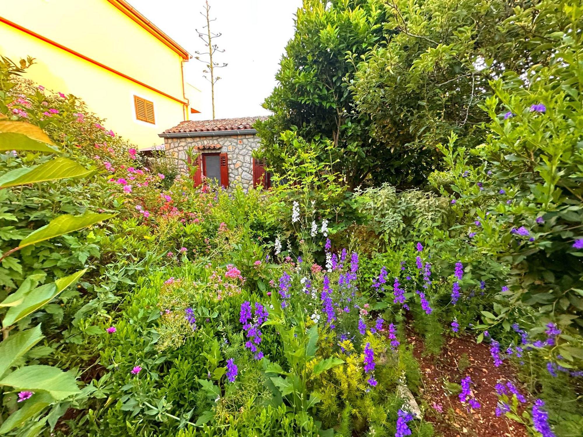 Apartments Cvita Veli Losinj Ngoại thất bức ảnh
